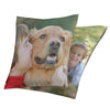 Photo Throw Pillow Case 16 x 16, 1 Pair